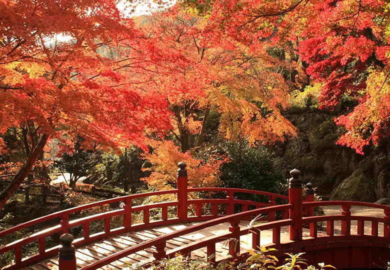 熱海梅園