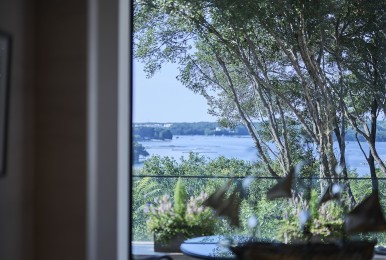 ラウンジからの眺め