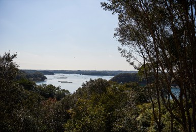 ラウンジからの眺め