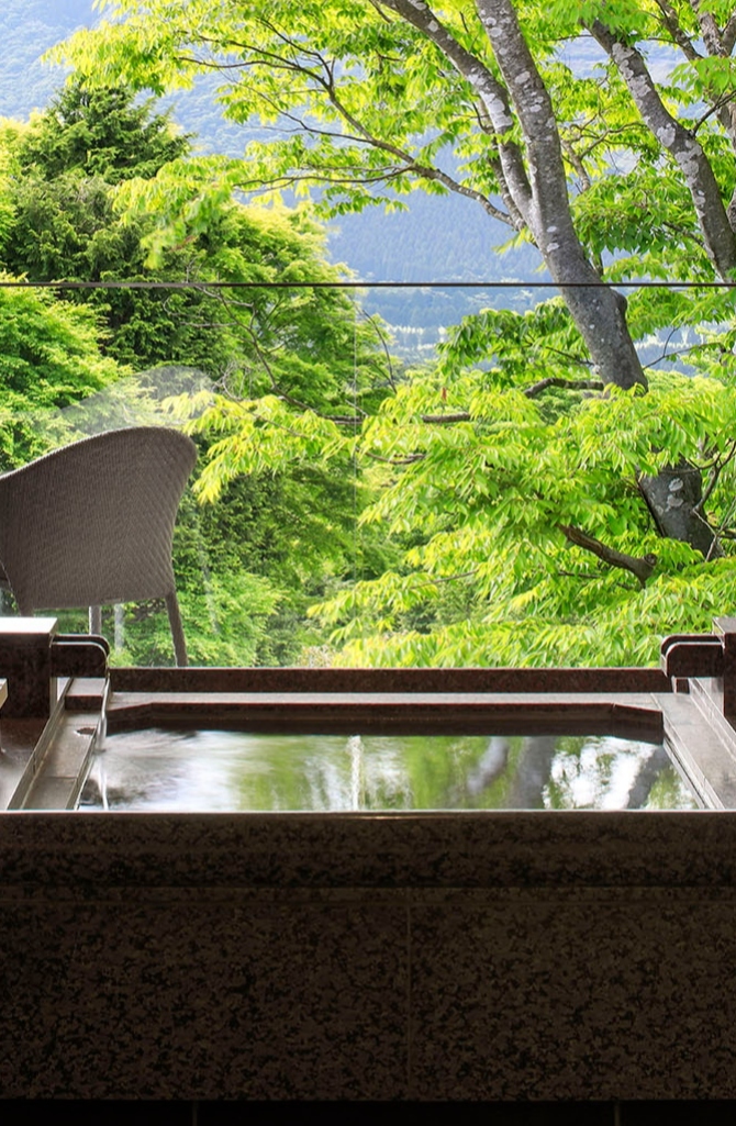THE HIRAMATSU HOTELS & RESORTS 仙石原