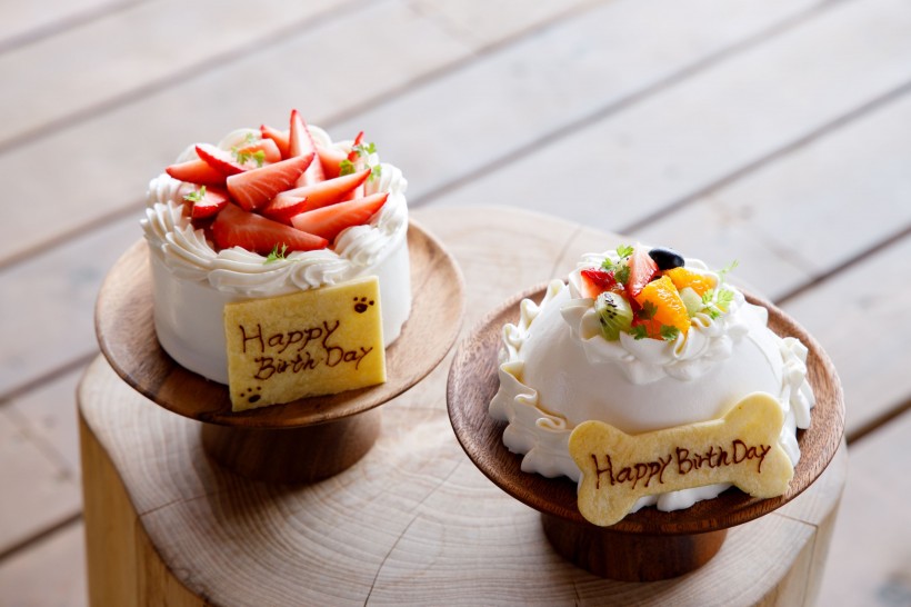 ドッグケーキ