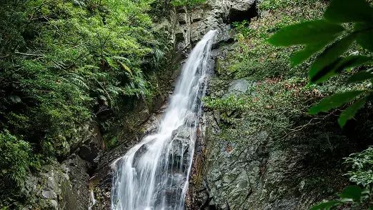 最高の朝食を求めて
