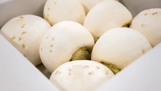 冬のぬくもり、食の営み。