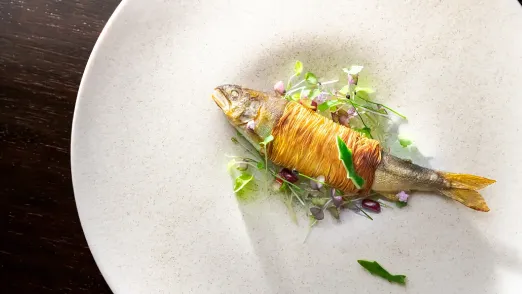 鮎が届ける美山の涼