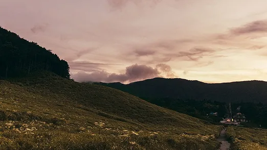 仙石原に想いを馳せて