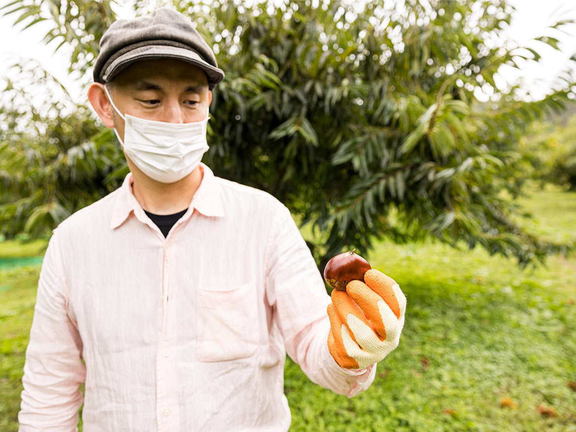 日本最古の地域ブランド「丹波くり」