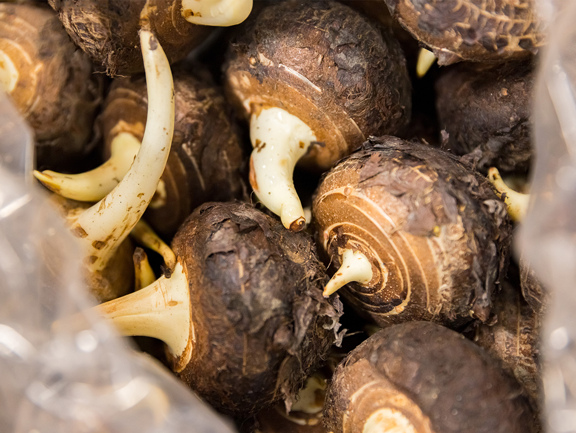 京料理の伝統を支える「京野菜」