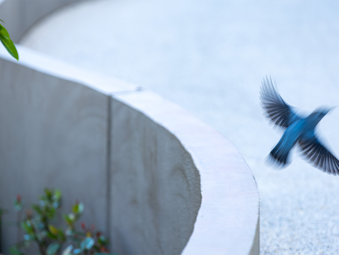 フランス料理に出会った少年