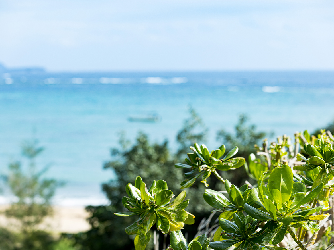 フランス料理に出会った少年