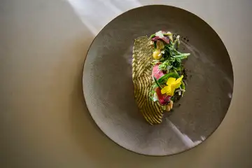 画像:お料理 イメージ