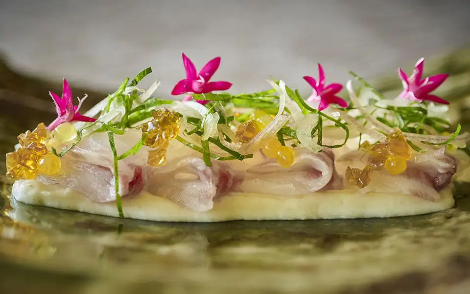 写真：料理