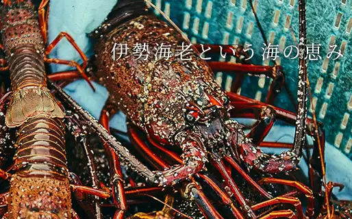 読むひらまつ。