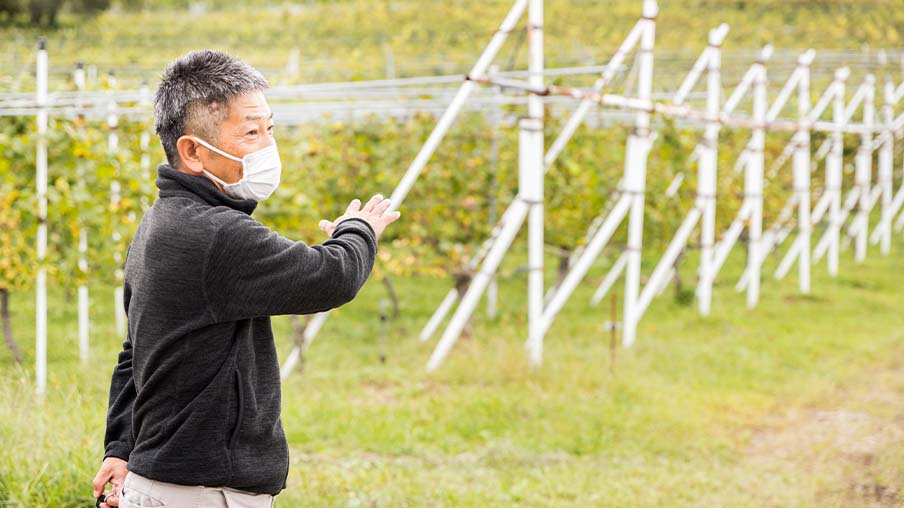 葡萄畑で創業からの挑戦について話す黒井 衛住社長。