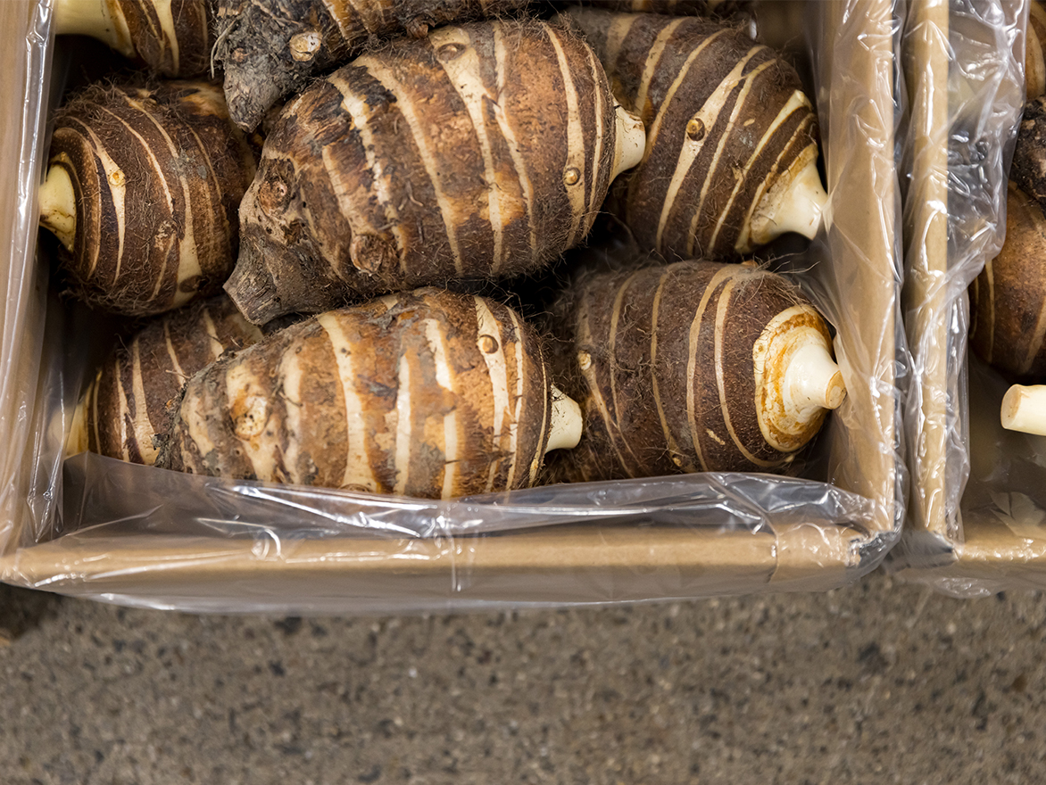 京料理の伝統を支える「京野菜」