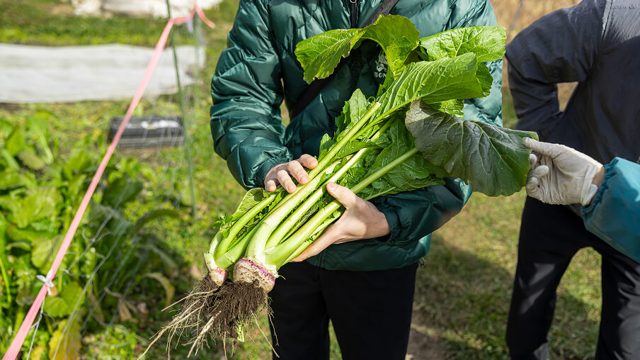 慈しみながら育てた本来の味