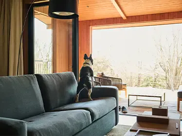 【愛犬と一緒◇ヴィラ限定】お部屋で楽しむフランス料理　プライベートダイニングプラン